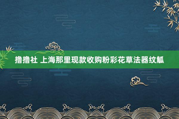 撸撸社 上海那里现款收购粉彩花草法器纹觚