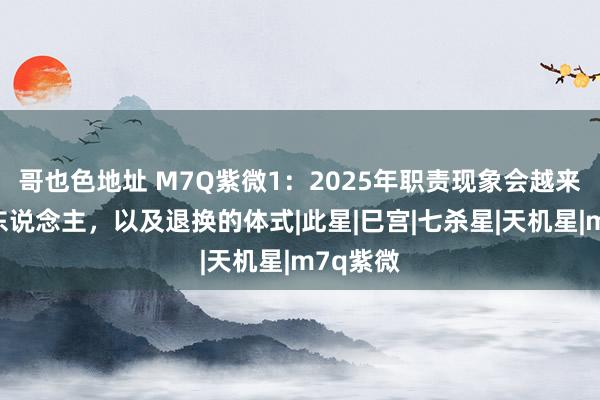 哥也色地址 M7Q紫微1：2025年职责现象会越来越好的东说念主，以及退换的体式|此星|巳宫|七杀星|天机星|m7q紫微