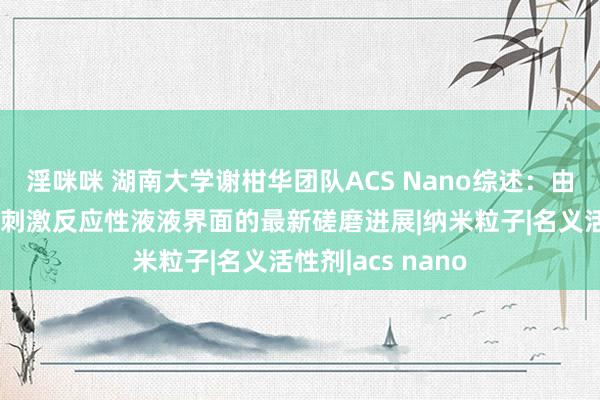 淫咪咪 湖南大学谢柑华团队ACS Nano综述：由纳米颗粒牢固的刺激反应性液液界面的最新磋磨进展|纳米粒子|名义活性剂|acs nano