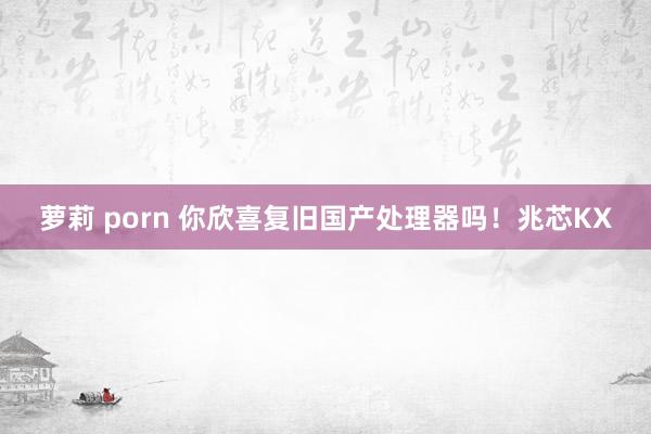 萝莉 porn 你欣喜复旧国产处理器吗！兆芯KX