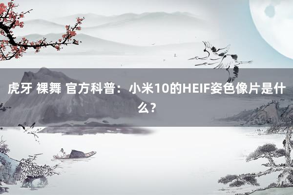 虎牙 裸舞 官方科普：小米10的HEIF姿色像片是什么？