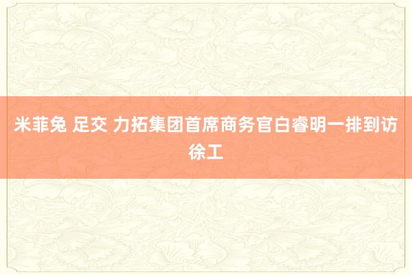 米菲兔 足交 力拓集团首席商务官白睿明一排到访徐工