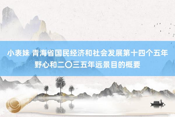 小表妹 青海省国民经济和社会发展第十四个五年野心和二〇三五年远景目的概要