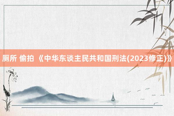 厕所 偷拍 《中华东谈主民共和国刑法(2023修正)》