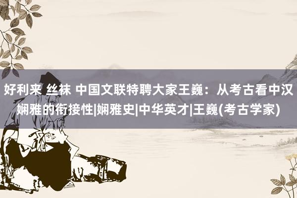 好利来 丝袜 中国文联特聘大家王巍：从考古看中汉娴雅的衔接性|娴雅史|中华英才|王巍(考古学家)