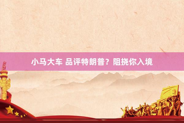 小马大车 品评特朗普？阻挠你入境