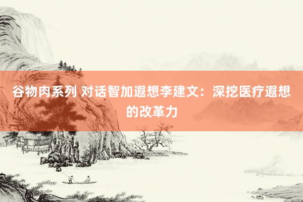 谷物肉系列 对话智加遐想李建文：深挖医疗遐想的改革力