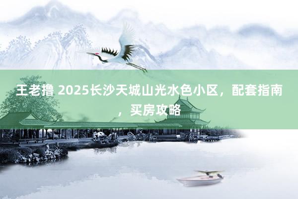 王老撸 2025长沙天城山光水色小区，配套指南，买房攻略