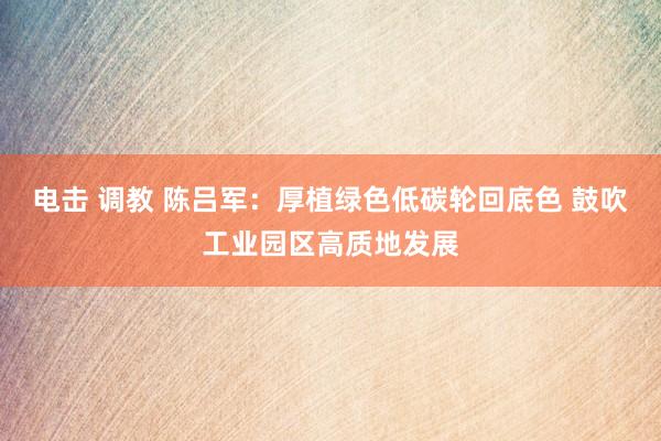 电击 调教 陈吕军：厚植绿色低碳轮回底色 鼓吹工业园区高质地发展