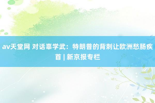 av天堂网 对话辜学武：特朗普的背刺让欧洲愁肠疾首 | 新京报专栏