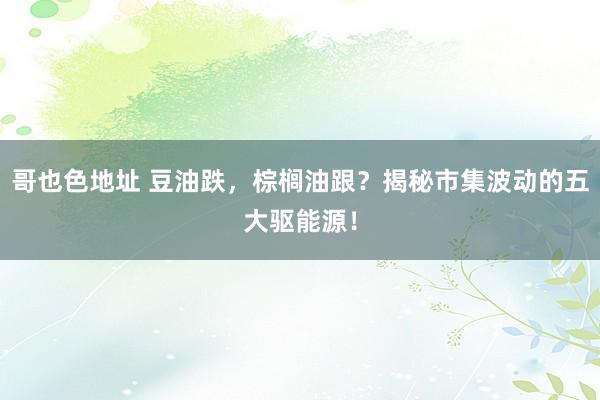 哥也色地址 豆油跌，棕榈油跟？揭秘市集波动的五大驱能源！