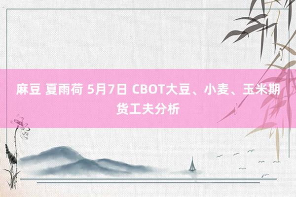 麻豆 夏雨荷 5月7日 CBOT大豆、小麦、玉米期货工夫分析