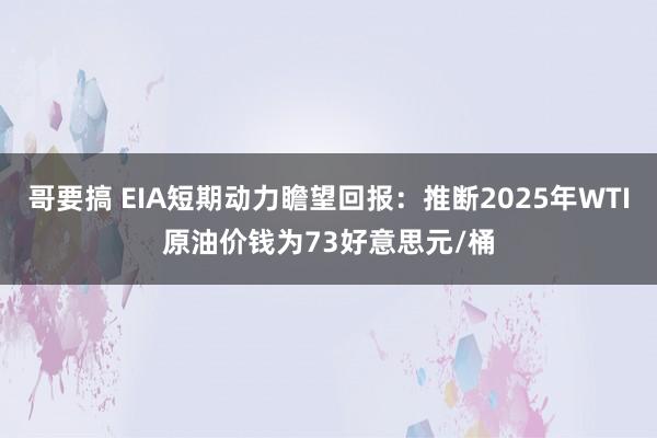 哥要搞 EIA短期动力瞻望回报：推断2025年WTI原油价钱为73好意思元/桶