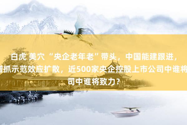 白虎 美穴 “央企老年老”带头，中国能建跟进，回购增抓示范效应扩散，近500家央企控股上市公司中谁将致力？