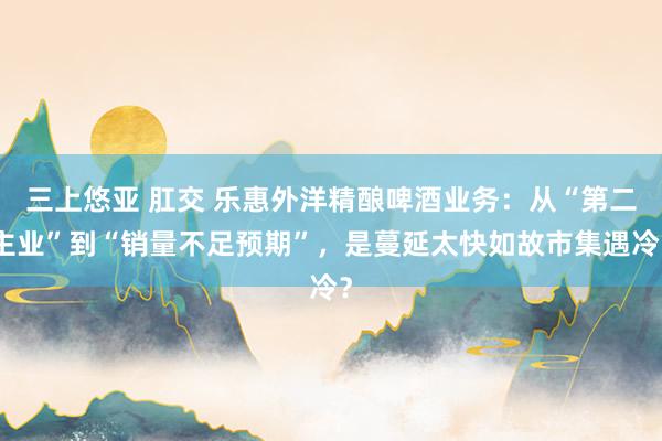三上悠亚 肛交 乐惠外洋精酿啤酒业务：从“第二主业”到“销量不足预期”，是蔓延太快如故市集遇冷？