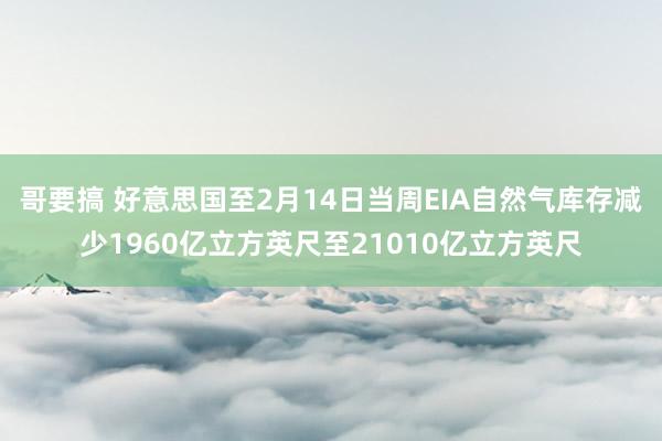 哥要搞 好意思国至2月14日当周EIA自然气库存减少1960亿立方英尺至21010亿立方英尺
